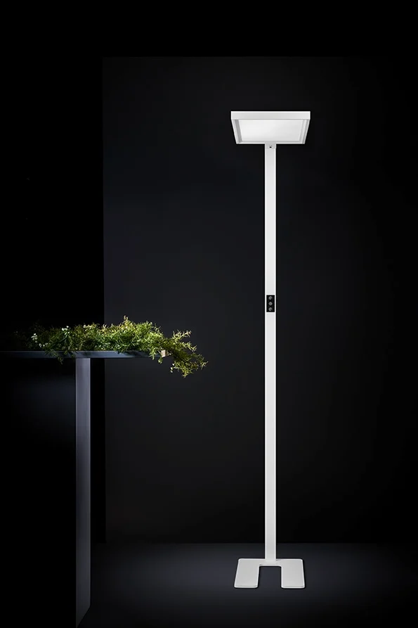 Alegra Stela – Bild 3